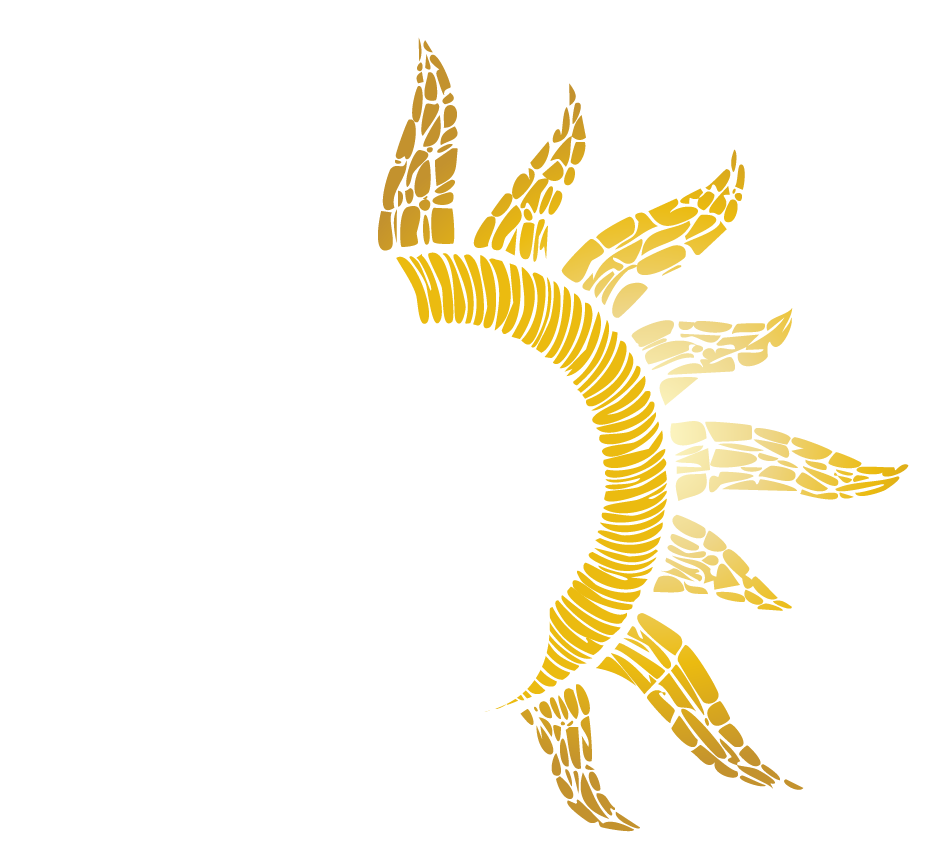 Embrace The New You 